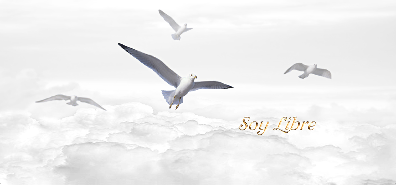 Soy Libre White Clouds
